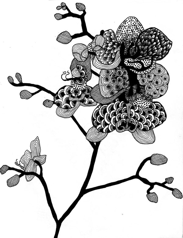 Orchid Branch