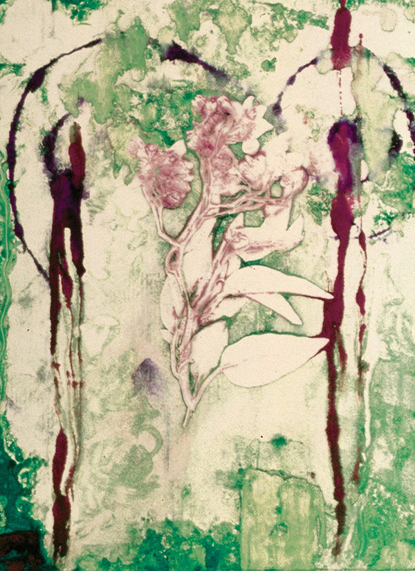 Ghost Flower no.4