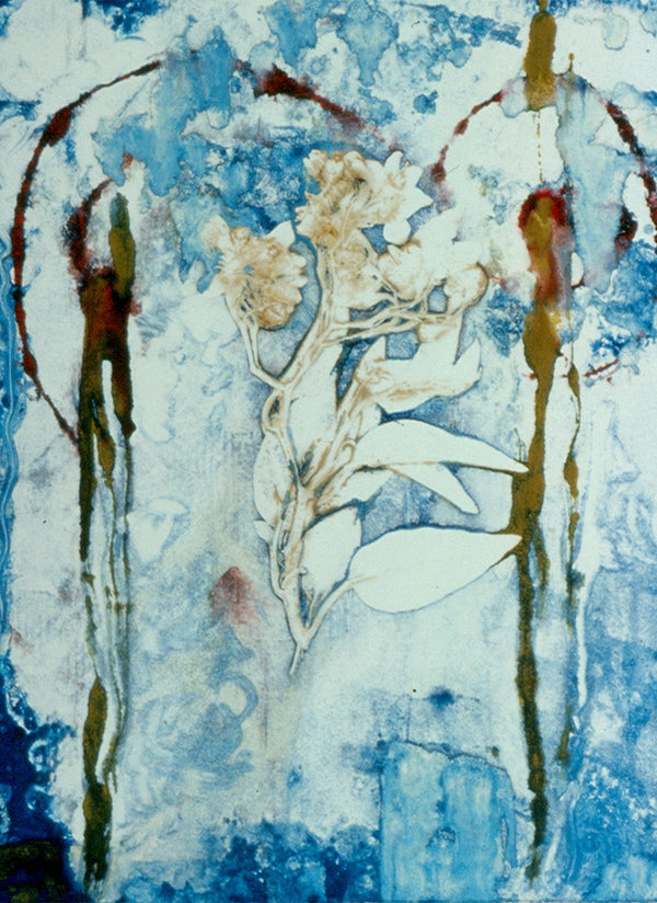 Ghost Flower