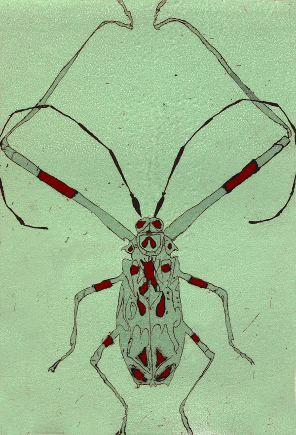 Long Legged Bug