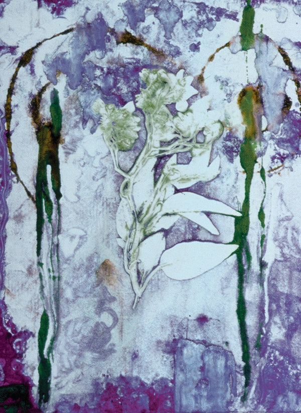 Ghost Flower no.2