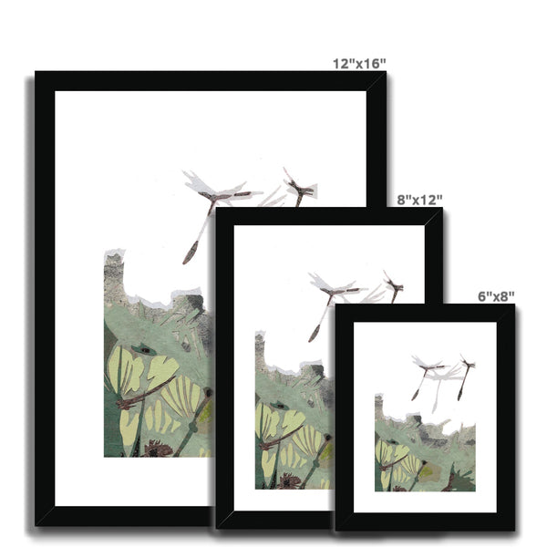 Dandelion Puffs Framed & Mounted Print