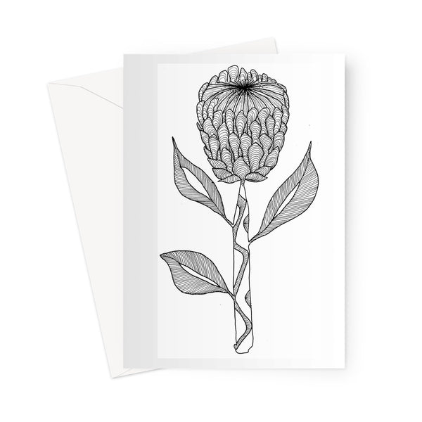 Protea Greeting Card