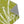 Load image into Gallery viewer, Flower Power Area Rug - Chartreuse
