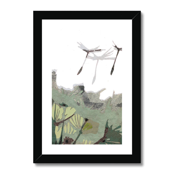 Dandelion Puffs Framed & Mounted Print