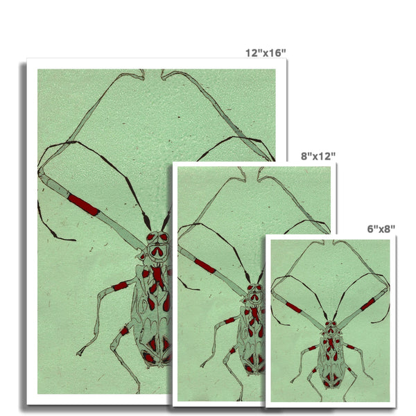Long Legged Bug Giclée Print