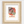 Load image into Gallery viewer, Monachopsis
