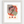 Load image into Gallery viewer, Monachopsis
