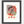 Load image into Gallery viewer, Monachopsis
