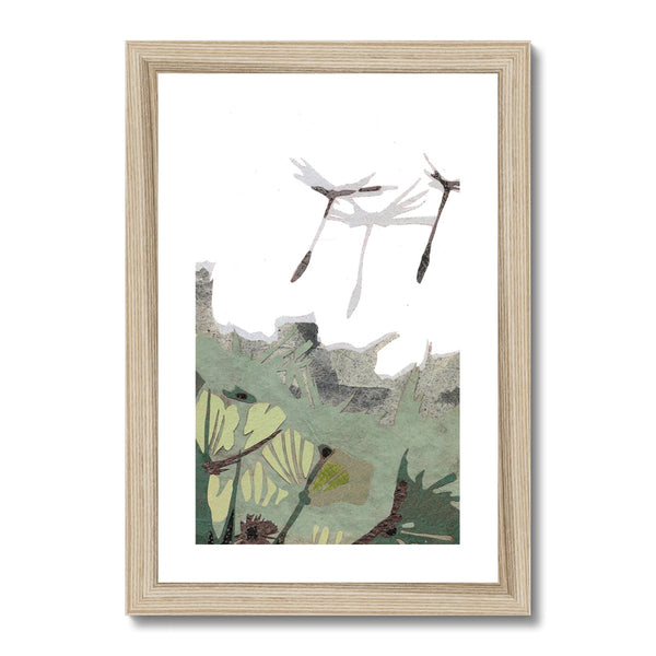Dandelion Puffs Framed & Mounted Print