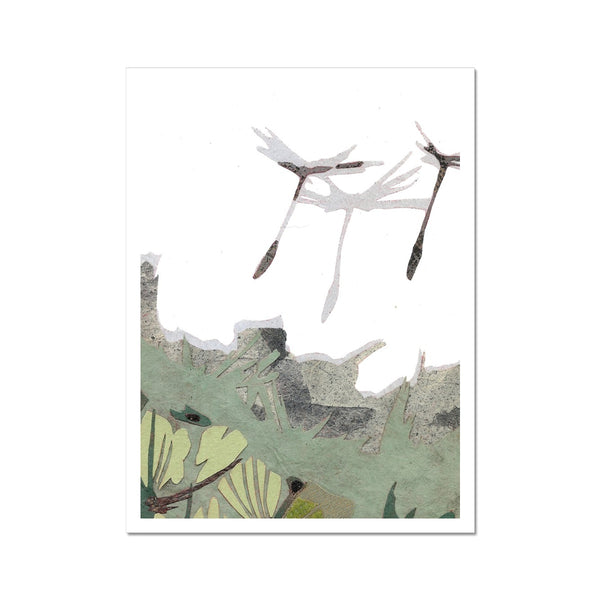 Dandelion Puffs Hahnemühle German Etching Print