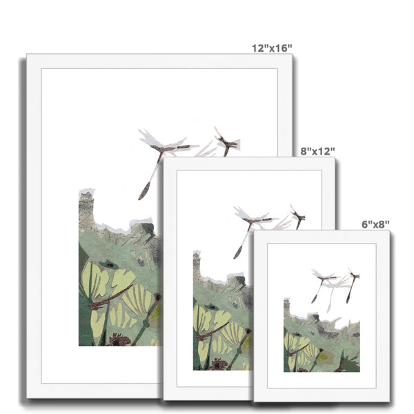 Dandelion Puffs Framed & Mounted Print