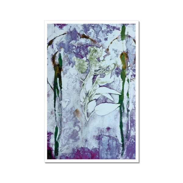 Ghost Flower no.2 Giclée Print