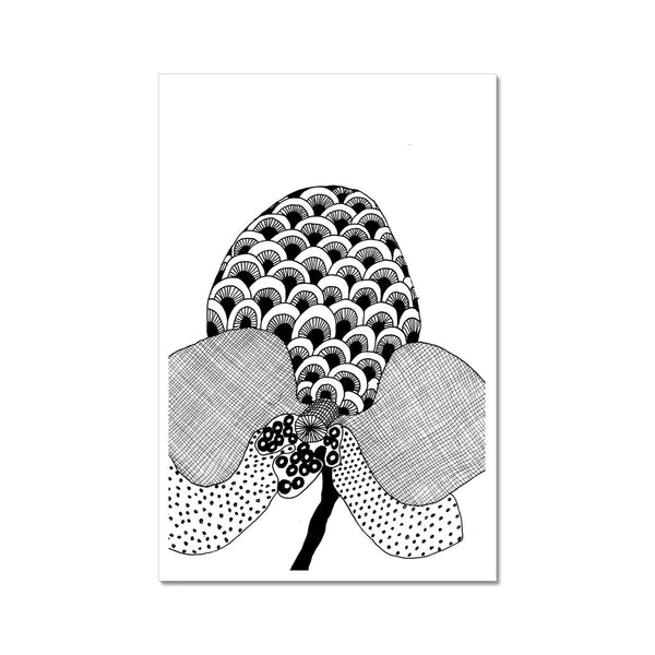 Giant Orchid Giclée Print