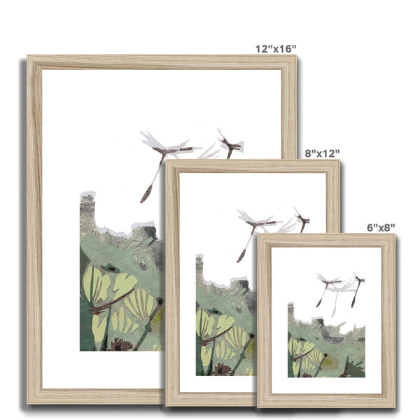 Dandelion Puffs Framed & Mounted Print