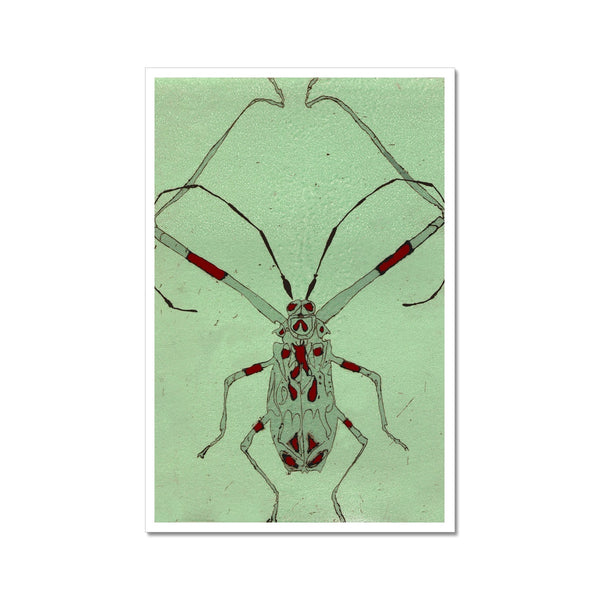 Long Legged Bug Giclée Print