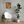 Load image into Gallery viewer, Swoop
